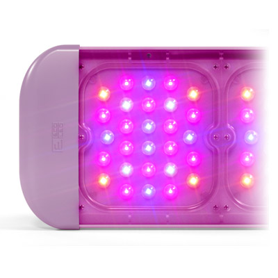 Визуализация led-светильника ECOLED Fito