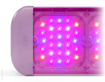 Визуализация led-светильника ECOLED Fito