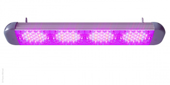 Визуализация led-светильника ECOLED Fito